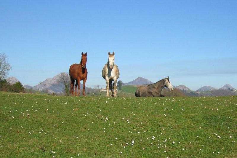 Casa Rural La Santa Sorribas  Dış mekan fotoğraf